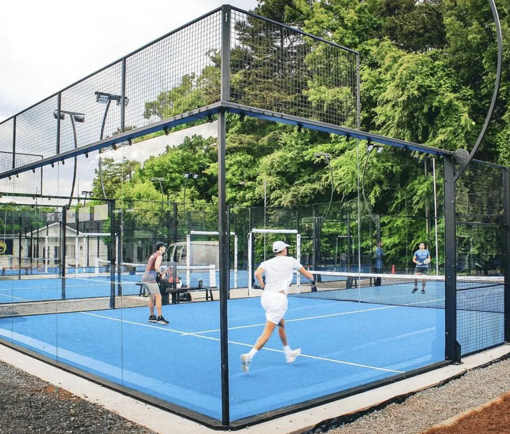 RC10 Panoramic Court