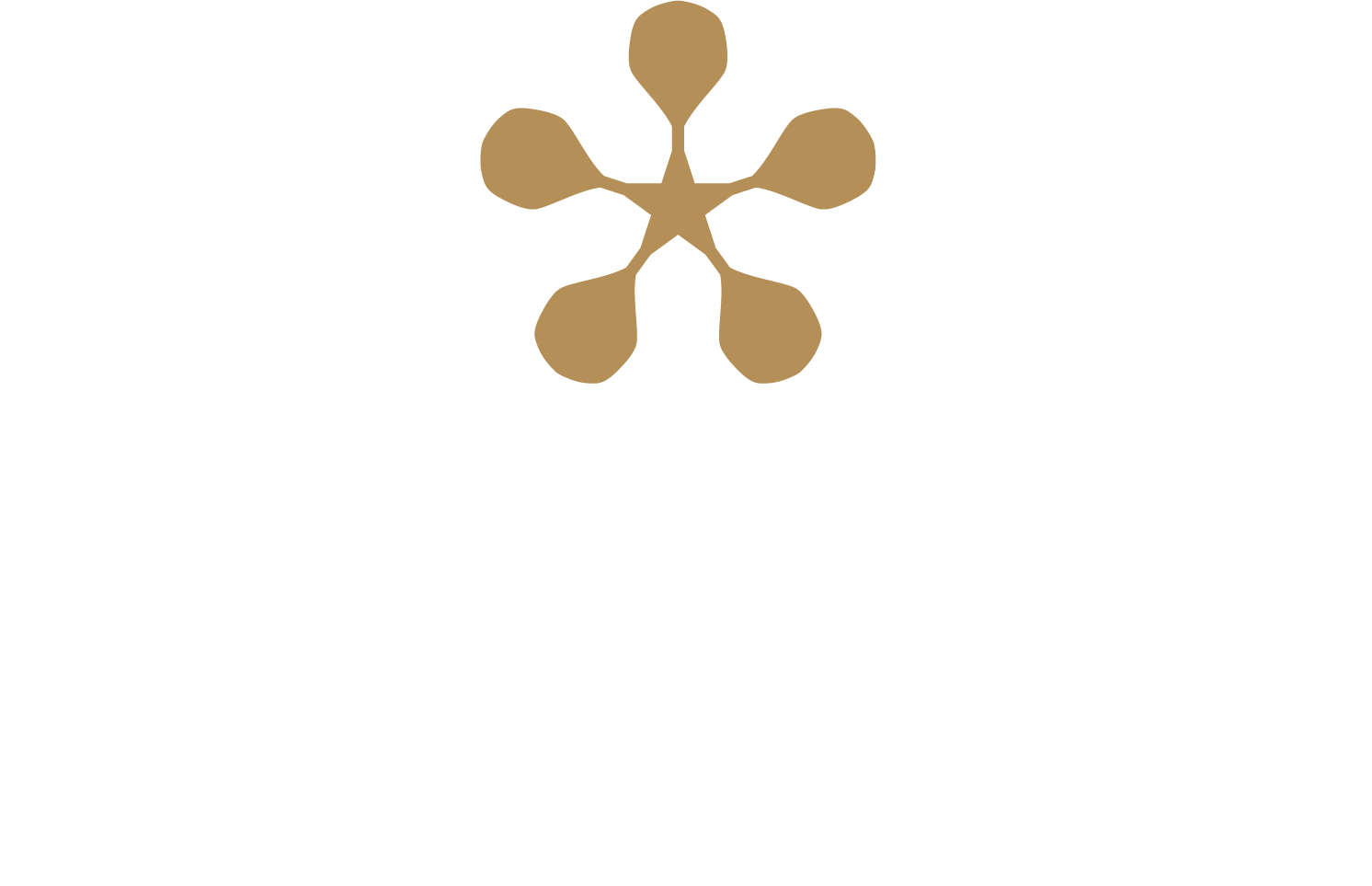 Premier Padel logo